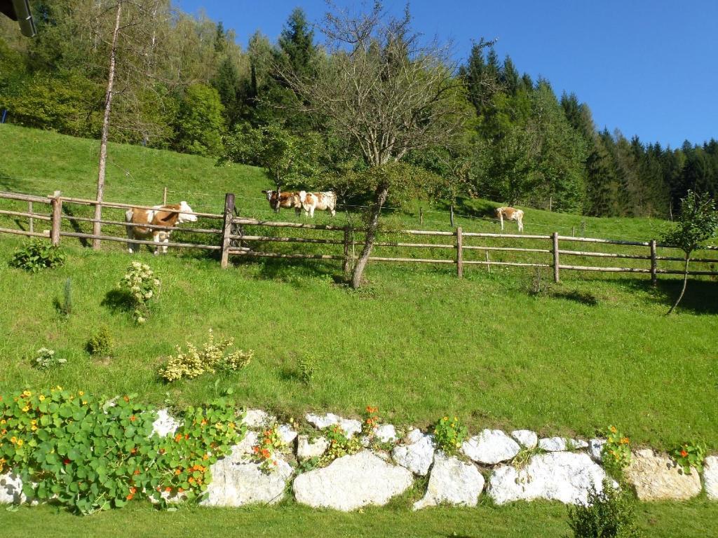 Pension Ehrenfried - Hotel Garni Kindberg Dış mekan fotoğraf